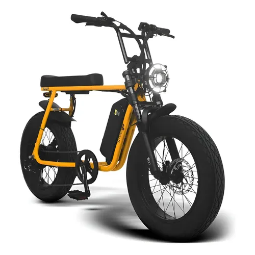 Bicicleta Elétrica Dx Bike Aro16 800w 48v 20ah Bateria 32km Cor