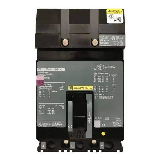 Interruptor Termomagnetico 100a I-line Fa36100 Square D