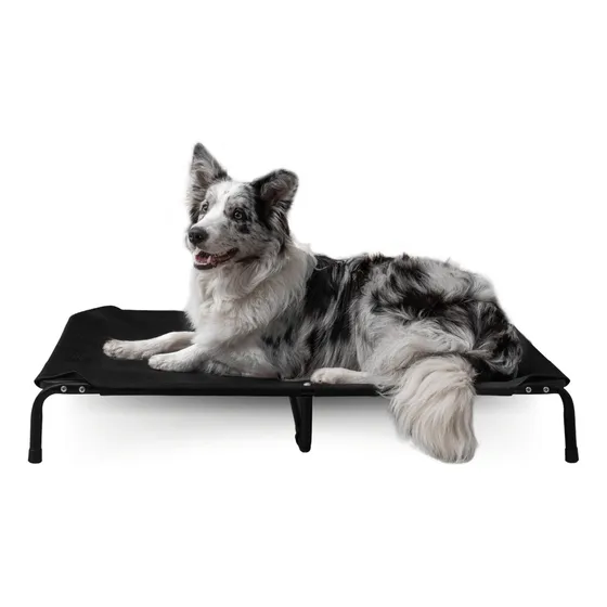 Caminha Para Cachorro Caminha Pet Cama Para Cachorro Cama Suspensa Elevada All Black Tamanho G Border Collie Beagle Chow Chow Shar Pei Buldogue Inglês Mec G