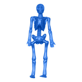 Figura De Esqueleto De Goma Blanda Elástica Y Elástica En Fo Figura De Esqueleto De Goma Blanda Elástica Y Elástica En Fo