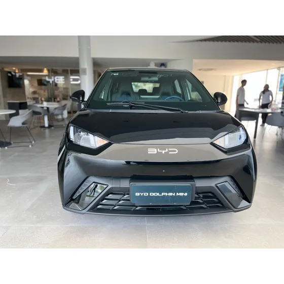 Byd Dolphin Mini 0.0 Plus Ev