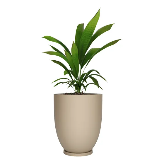 Maceta De Plástico Rotomoldeado Amalfi Modelo Copa N55 De 55 Cm Alto Y 47 Cm Diámetro Y 73 Litros Color Beige