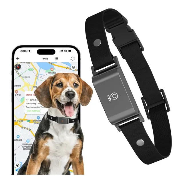 Collar Localizador Gps De Mascotas Perros Y Gatos Ajustable