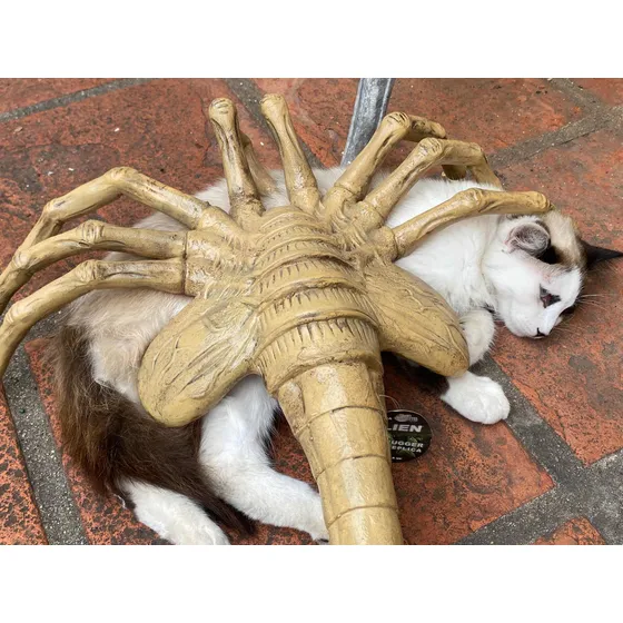 Boneco Alien Facehugger Neca 1/1 Antigo Usado