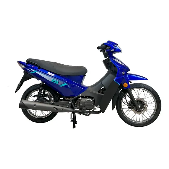 Moto Zanella Zb 110cc Z3 F 0km Rayo/disco