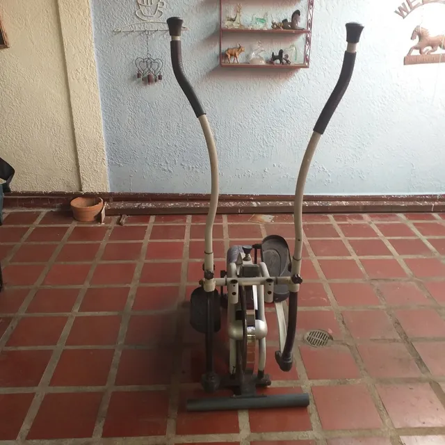 Caminadora / Orbitrek (aparato De Ejercicio) Usado 