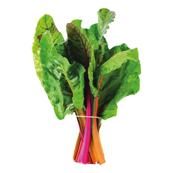 Sobre Para Sembrar 15 Plantas De Acelga Arcoiris