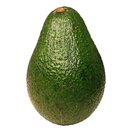 Palta Palto Hass Árbol Frutal Injertado