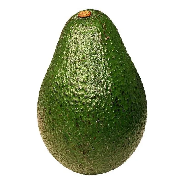 Palta Palto Hass Árbol Frutal Injertado