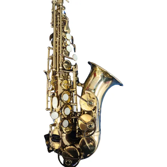 Soprano Curvo Hoyden Sax  Sopranino  Mib Usado Com Case