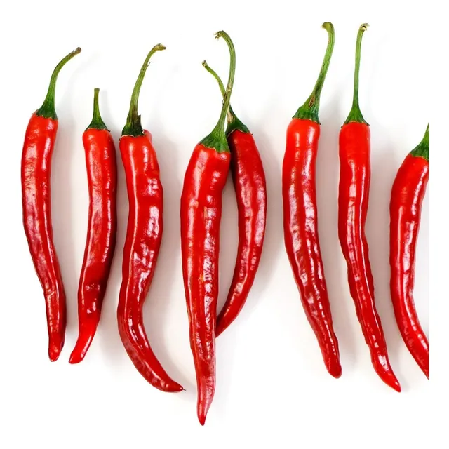 Semillas Aji Cayenne Chile Cultivo Jardin Picante Hogar Plan