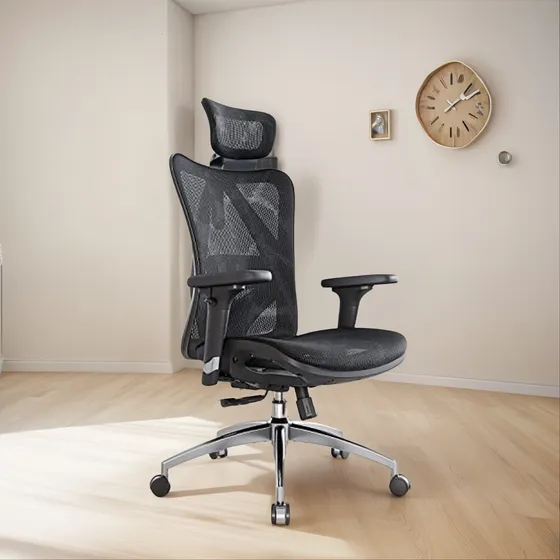 Silla De Oficina Ergonómica Sihoo M57 Con Soporte Lumbar Y R