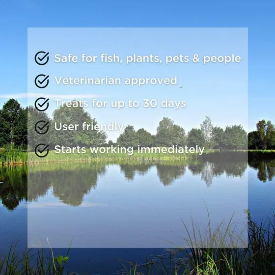 Healthy Ponds Colorante Para Agua