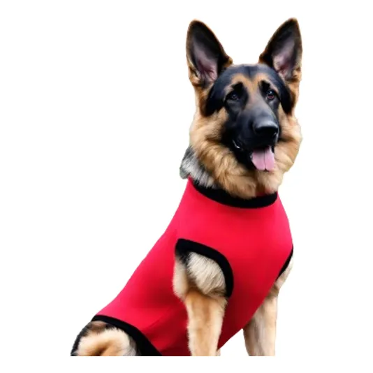 Faja/traje De Recuperacion Para Perros Machos - Castracion