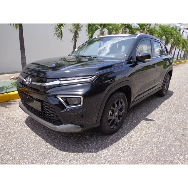 Toyota Urban Cruiser Neo Driver
