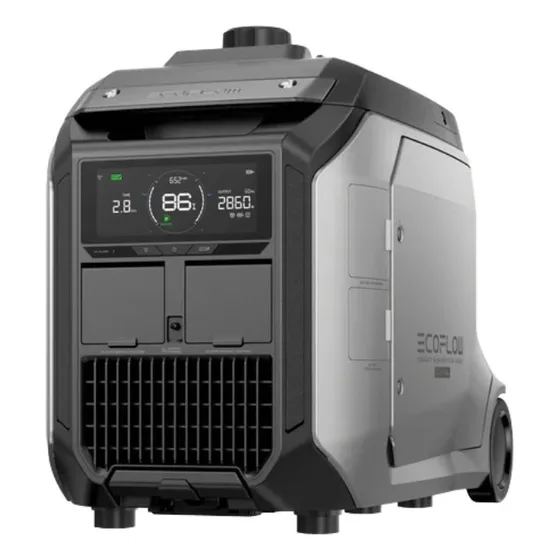 Generador Eléctrico Gasolina/gas Ecoflow Sg4000 (dual Fuel)