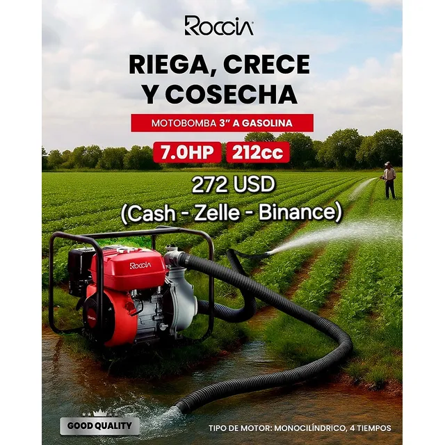 Motobomba 3  A Gasolina De 7hp - Roccia