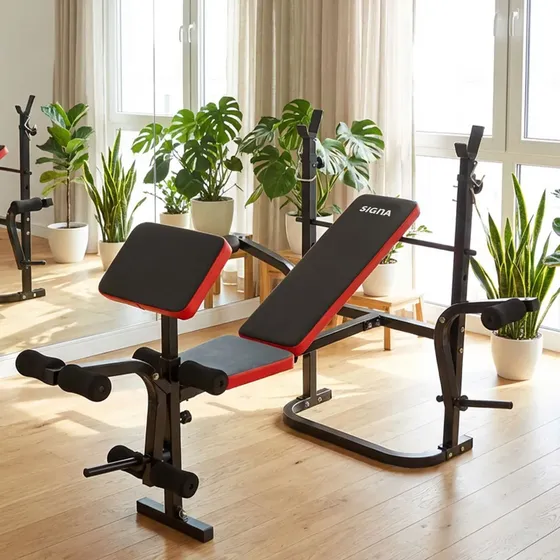 Banco De Pesas Multifuncional Ajustable Gimnasio En Casa