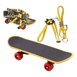 Juego De Cuerda Y Patineta Para Tortugas - Patineta Con Juego De Cuerda Y Patineta Para Tortugas - Patineta Con