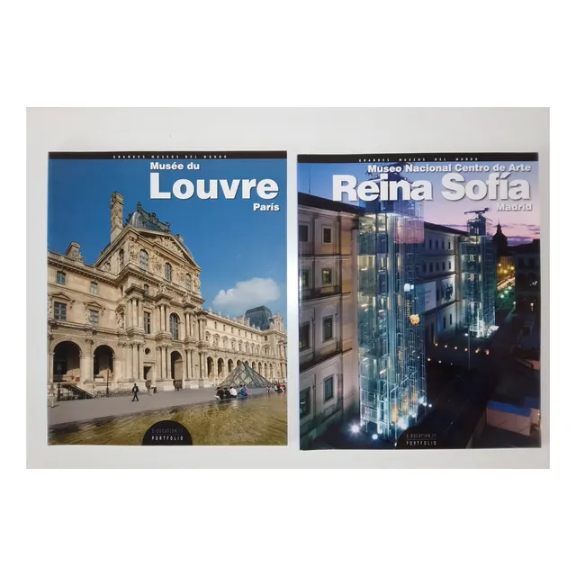 Libro Museo De Louvre Y Museo Reina Sofia Precio X Cada Uno