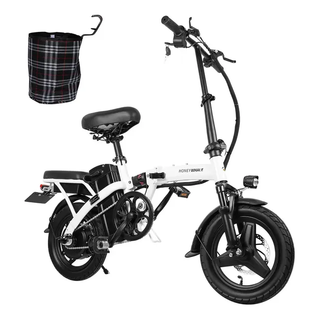 Honeywhale S6-S 750W (125kg)