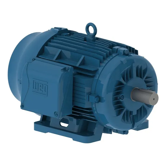 Motor Trifásico Weg 100 Hp Ip55 3600 Rpm Factura 