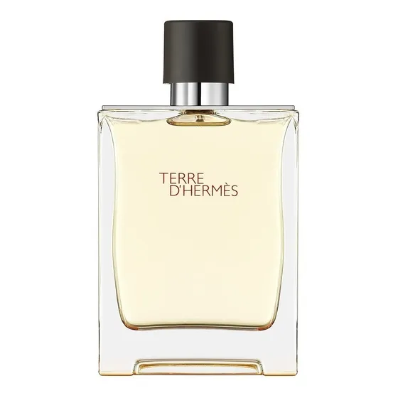 Perfume Terre D'hermès Eau De Toilette 100ml Para Hombre