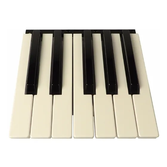 Tecla P/ Korg Pa500 Pa600 M50 Krome X50 Oitava Nova Original