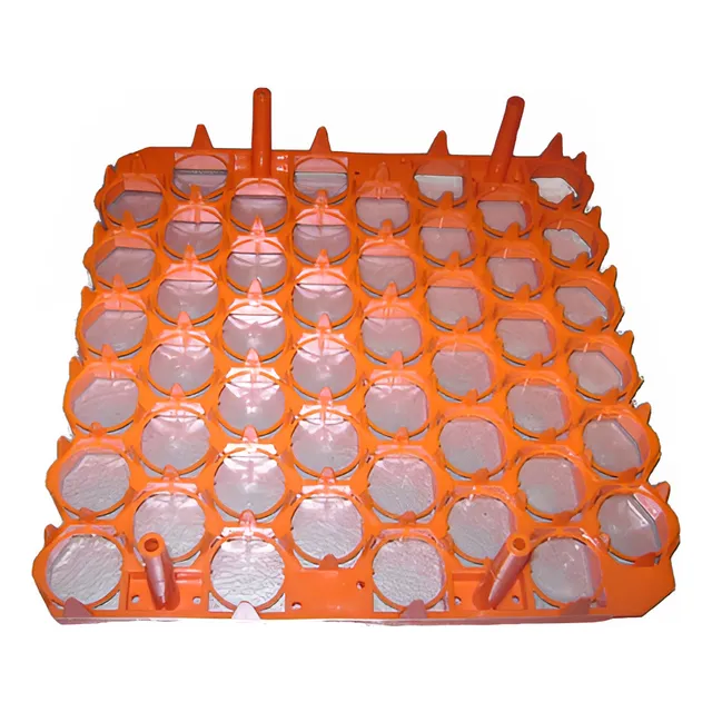 Kit 5 Filler Separador Para Incubadora 48 Huevos Alamazonas