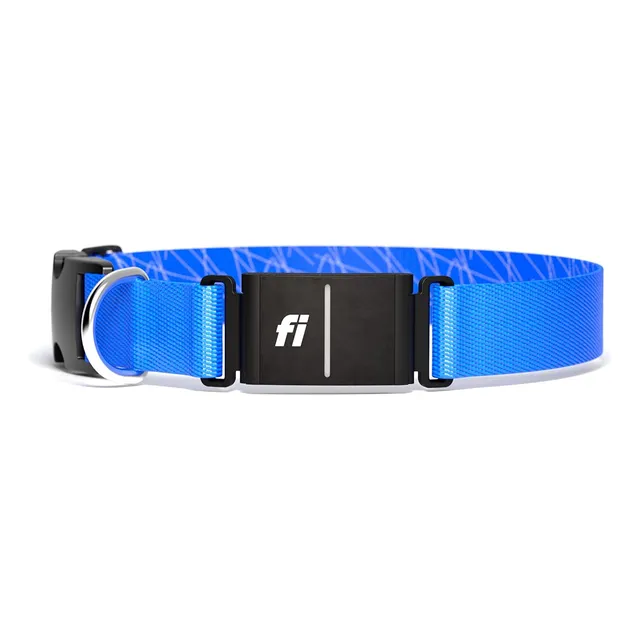 Fi Collar Inteligente Para Perro Serie 3, Rastreador Gps