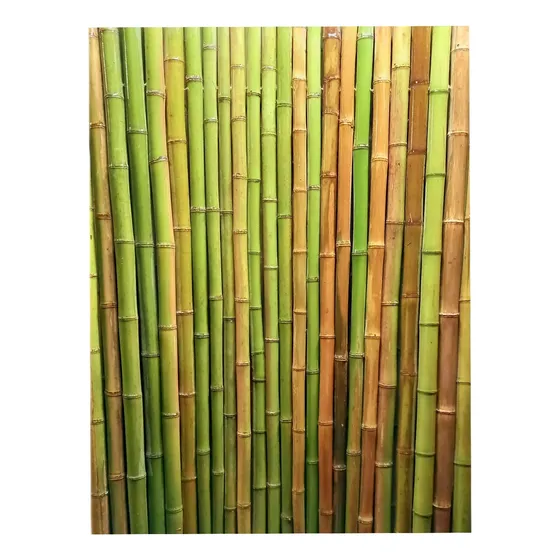 Cañas. Bambu Tacuara Pergola Cerco Mejor Precio. 1.8x1metro