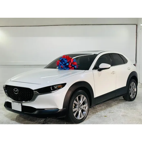 Mazda Cx-30 2.5 I Grand Touring Piel At