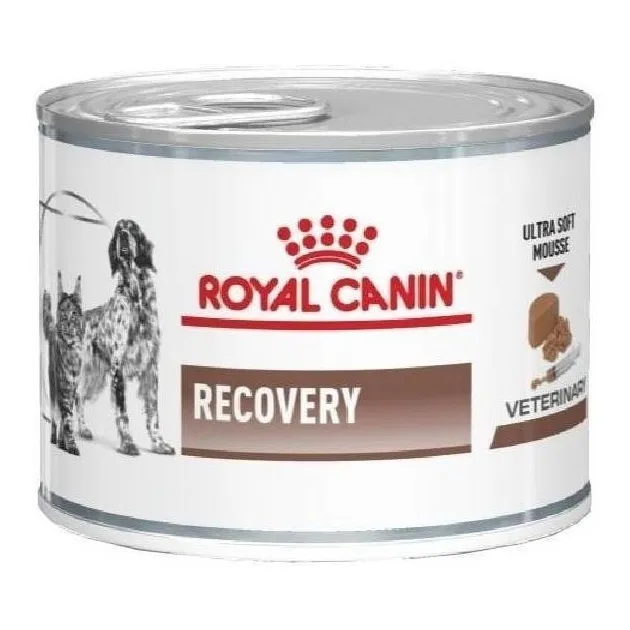Alimento Royal Canin Veterinary Diet Canine Recovery para perro adulto todos los tamaños sabor mix de 145 g