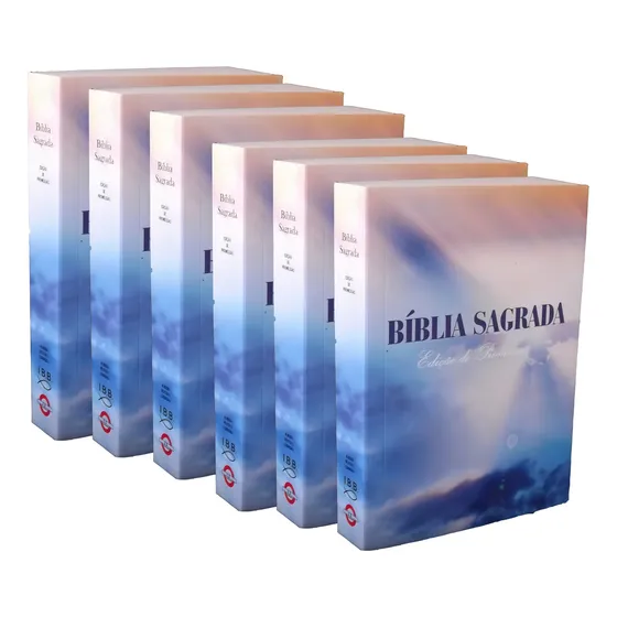 Caixa 30 Biblias Sagrada Evangelismo Doações Pequena Atacado