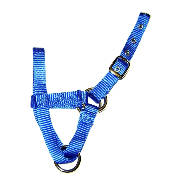 Hamilton Alpaca Halter Hebilla Ajustable Para Cabeza Azul