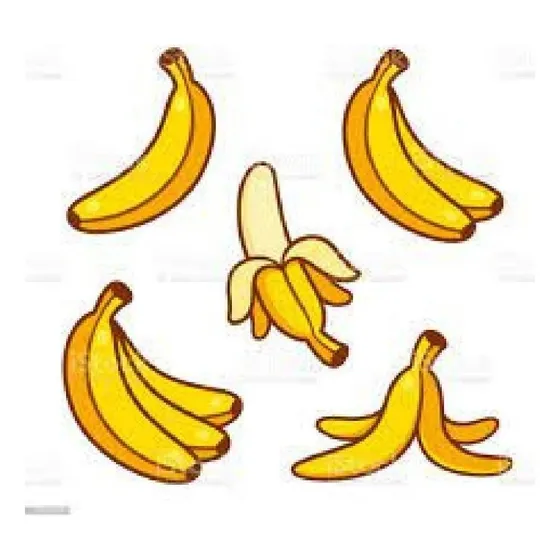 3 Mudas Rizomas Banana Prata Doce Cacho Enorme Dna Especial