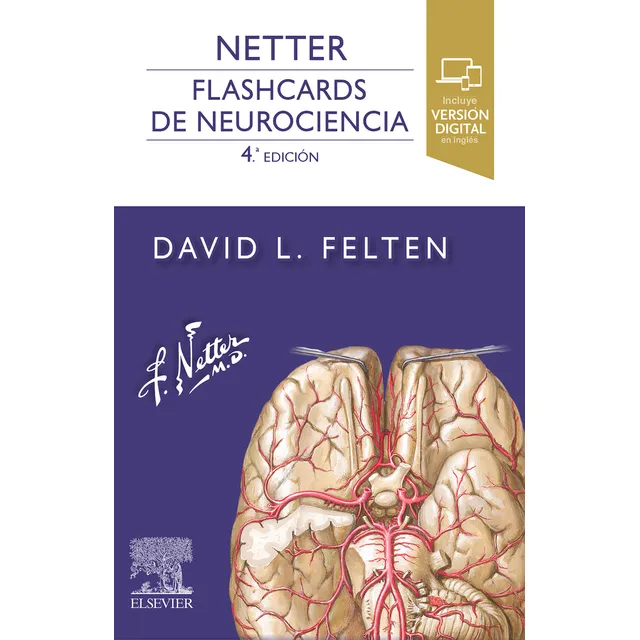 Netter. Flashcards De Neurociencia 4 Ed.