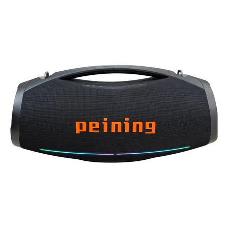 Ultra Bombox Peining S121 + 2 Microfones Karaoke 600w Preto 127/220v