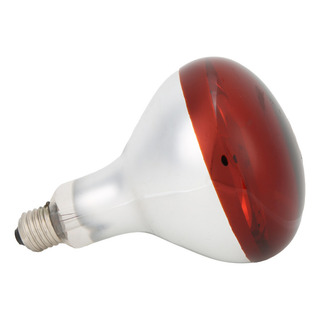 Bombilla Roja Para Pollitos De Brooder, Lámpara Térmica, Pun Bombilla Roja Para Pollitos De Brooder, Lámpara Térmica, Pun
