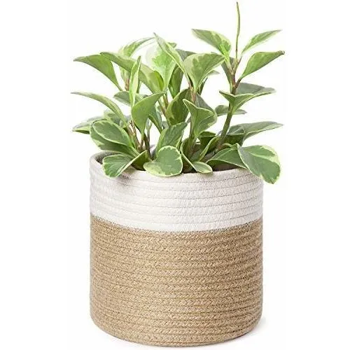 Cesta Pequeña De Algodón Cuerda Plantas  Cesta Tejida...