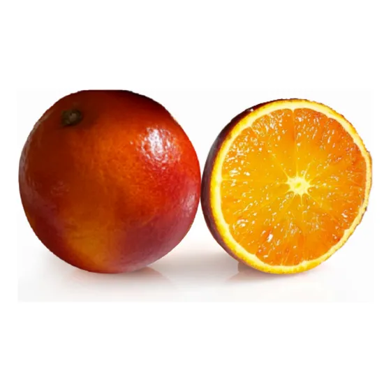 Naranja Sanguínea Tarocco Rosso (roja) Injertada
