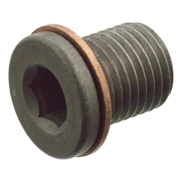 Tapon Tornillo Carter Gol Bora Fox Audi A3 Seat Leon Toledo