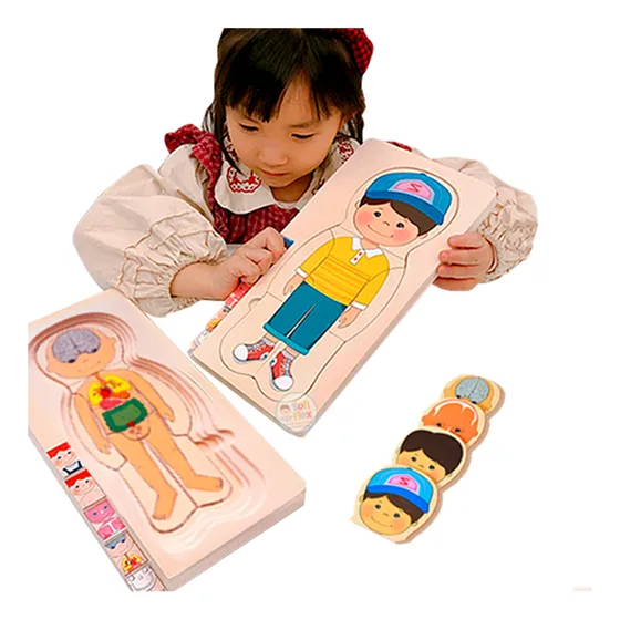 Rompecabeza 5 Capas Cuerpo Humano Niño