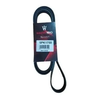 Correa Unica Renault Megane Symbol Clio Logan Kangoo 5pk1750