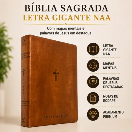 Bíblia Sagrada Naa Letra Gigante C Mapas Mentais Luxo Marrom