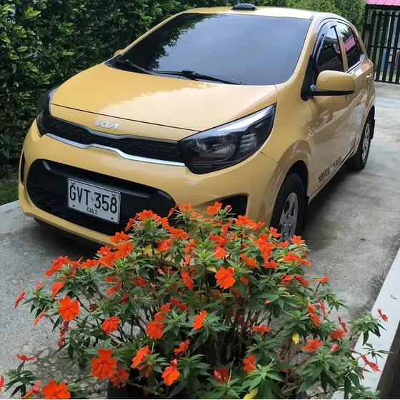Kia All New 2024 1.25