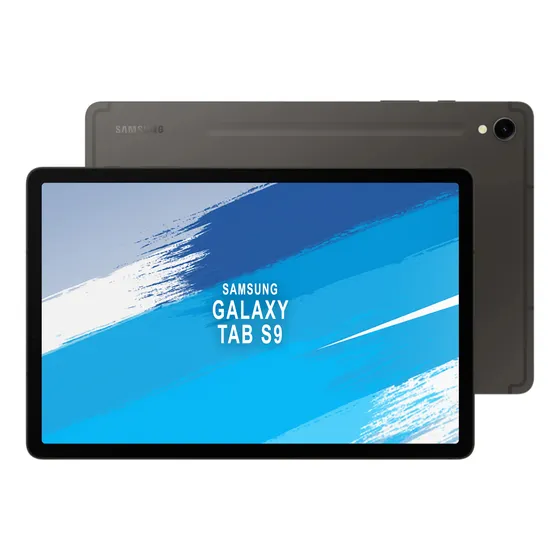 Tablet Samsung Tab S9 11'' 5g 12gb 256gb Gris
