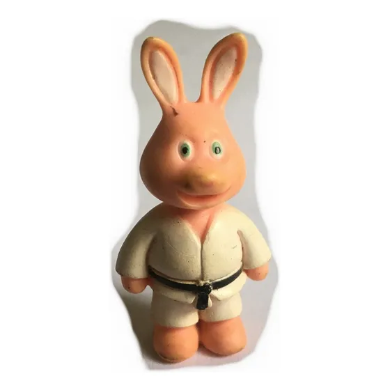 Coelho Judoca