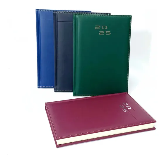 Agenda 2025 Permanente Pointer Colores Serios