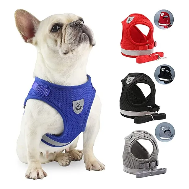 Arnes Para Mascotas Con Correa